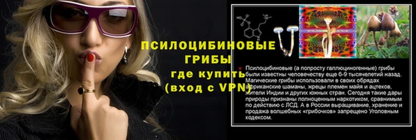 ПСИЛОЦИБИНОВЫЕ ГРИБЫ Гусев
