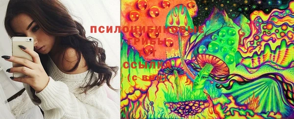 соль курить ск Гусь-Хрустальный