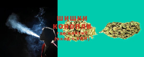 ПСИЛОЦИБИНОВЫЕ ГРИБЫ Гусев