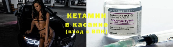ПСИЛОЦИБИНОВЫЕ ГРИБЫ Гусев