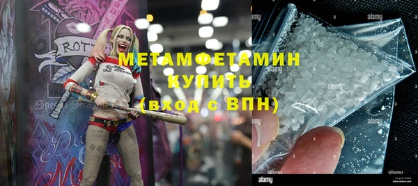 ПСИЛОЦИБИНОВЫЕ ГРИБЫ Гусев