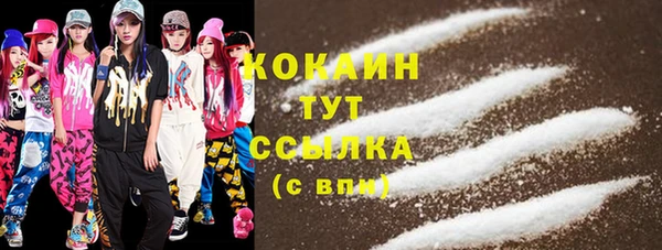ПСИЛОЦИБИНОВЫЕ ГРИБЫ Гусев