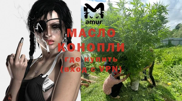 ПСИЛОЦИБИНОВЫЕ ГРИБЫ Гусев