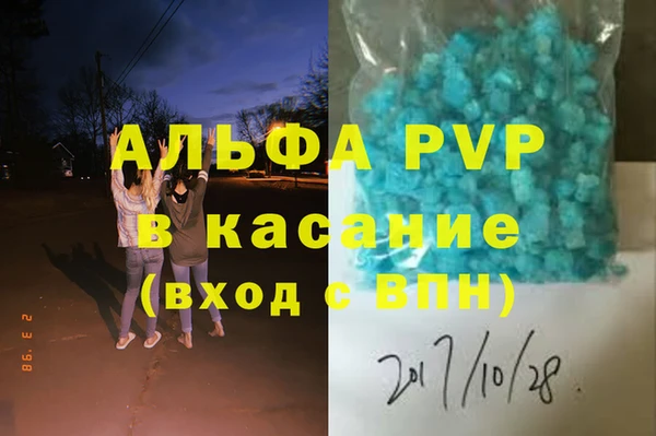 ПСИЛОЦИБИНОВЫЕ ГРИБЫ Гусев