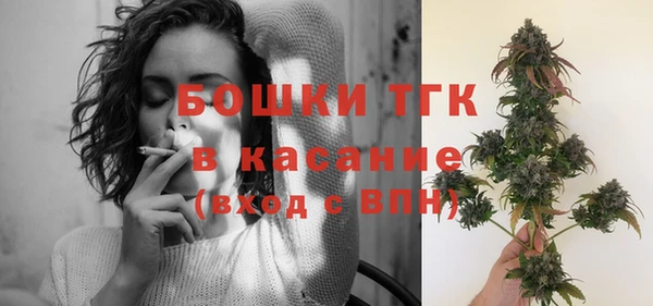 ПСИЛОЦИБИНОВЫЕ ГРИБЫ Гусев