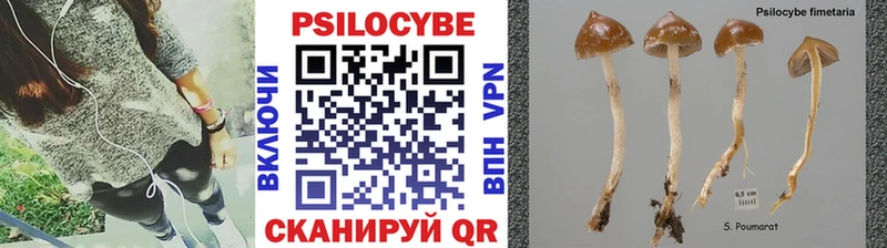 Купить где  Пудож  Псилоцибиновые грибы Psilocybine cubensis 
